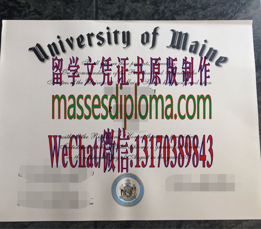 仿制缅因大学文凭