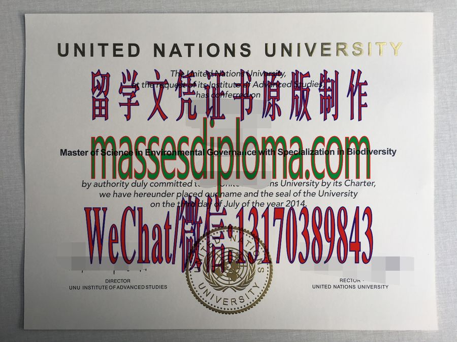 仿制联合国大学文凭